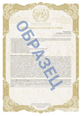 Образец Приложение к СТО 01.064.00220722.2-2020 Шумиха Сертификат СТО 01.064.00220722.2-2020 